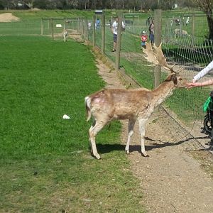 Chesterfield Farm, VIC