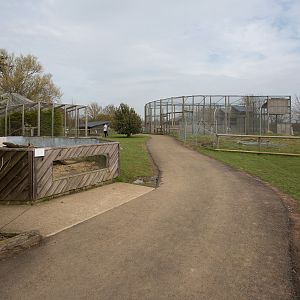 Pathway : Hamerton : 03 Apr 2016