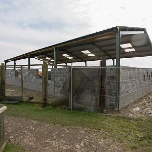 Nocturnal House (construction) : Hamerton : 03 Apr 2016