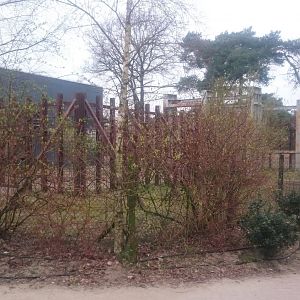 African elephant bull enclosure