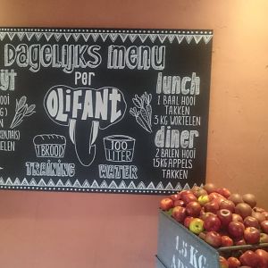 Information Elephant diet