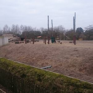 African elephant - Hamadryas baboon enclosure