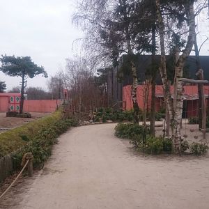 African elephant - Hamadryas baboon enclosure