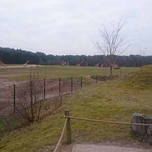 Part of one of the Africa enclosures