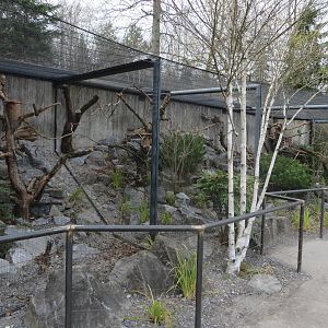 Former manul enclosure