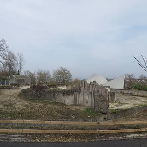 Former rhino outdoors