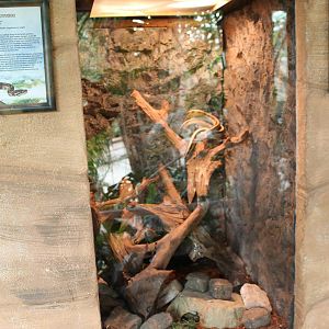 Enclosure Ball python