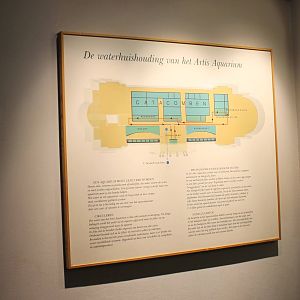 Plan water-managment system