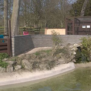 Progress on Penguin exhibit extension, 8th April 2016