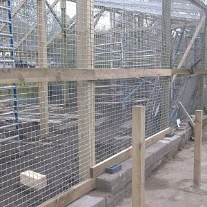 Progress on new Coati exhibit, 8th April 2016