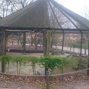 Aviary Village weaver