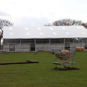 Hoofstock housing (front)