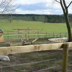 View of Part of the Paddock Areas in the New 'Farm Experience' - 9 April 20