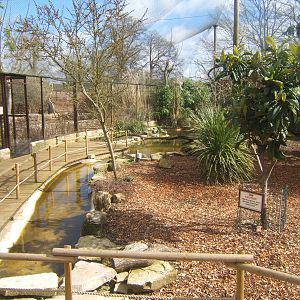 View inside the former walk-through aviary,which is now a Walk in Aviary