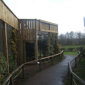 View of the re-designed Kite Aviarys