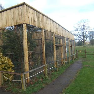 View of the re-designed Kite Aviarys