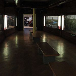 Ted Ellis Norfolk Room : Norwich Castle Museum : 26 Mar 2016