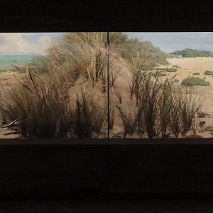 xxx : Norwich Castle Museum : 26 Mar 2016