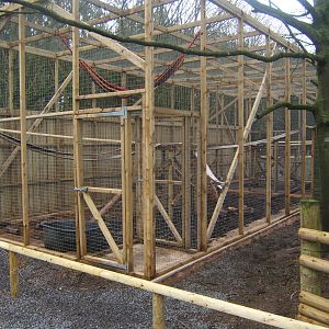 View of new Coati exhibit