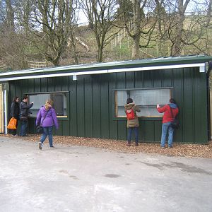 View of Flamingo Falls