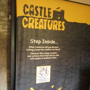 Castle Creatures indoor entrance