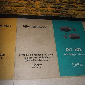 Castle Creatures indoor