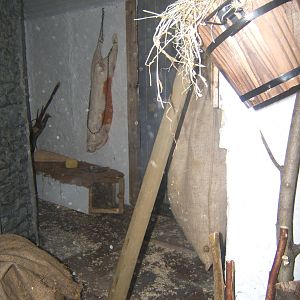 View of House Mouse exhibit