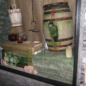 Medicinal Leech exhibit