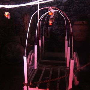 Egyptian Fruit and Seba`s Bat exhibit