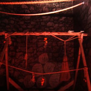 Egyptian Fruit and Seba`s Bat exhibit