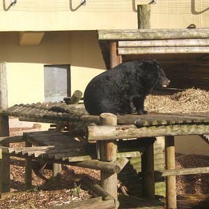 Inca looking all of her 36 years