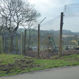 Construction work going on by Cheetah