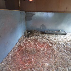 Indoor Capybara Enclosure