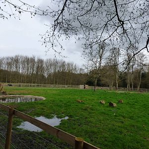 Outdoor Capybara Enclosure