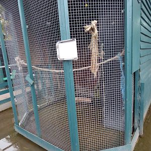 Flooded Parrot Aviary