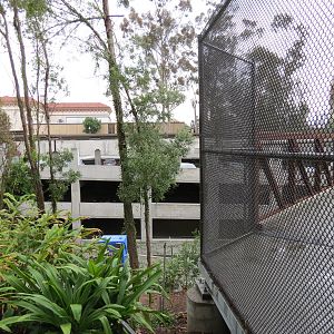 Employee Garage - Gate to Bridge That Leads to Garage