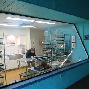 Arachnid Rescue Center