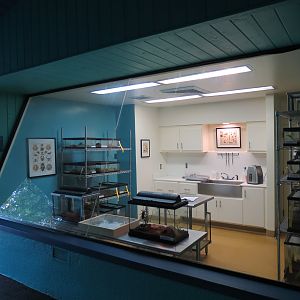 Arachnid Rescue Center