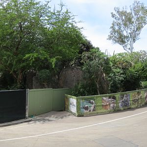 Africa Rocks Construction - View of Upper Canyon Construction Entrance