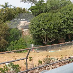 Africa Rocks Construction - View of Kopje Exhibit from Bus Road
