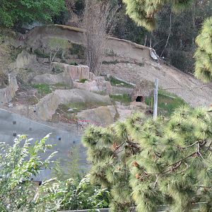 Africa Rocks Construction - View of Lower Canyon from Owens Aviary Area