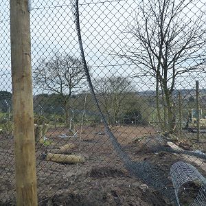 Construction work by Cheetahs