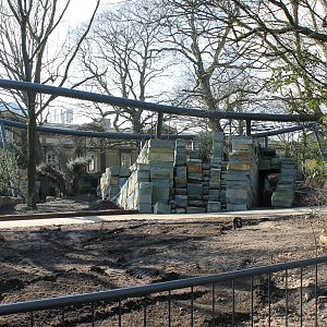 Construction new Jaguar enclosure