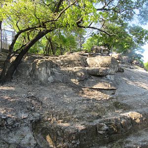 Northeastern African Mountains Habitat