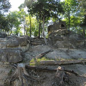 Northeastern African Mountains Habitat