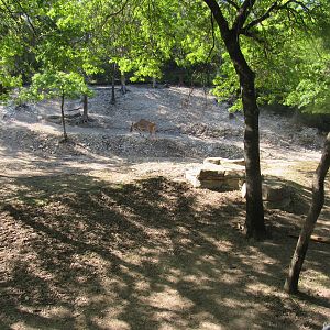 Samburu National Reserve