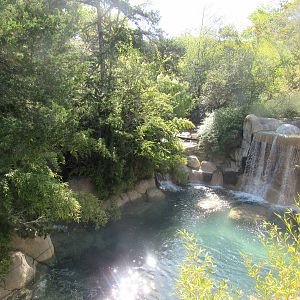 Great Rift Valley Habitat