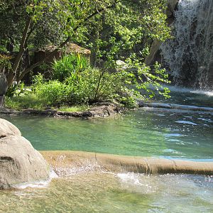 Great Rift Valley Habitat
