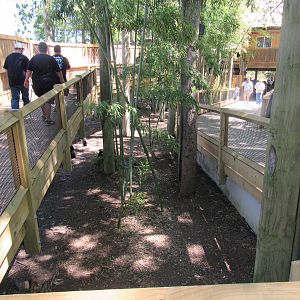 New Mixed-Species Bird Exhibit