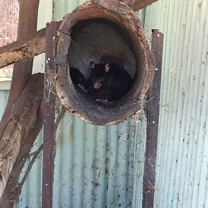 WaterwaysWildlifePark